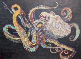 Octopus