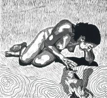 Narcissus